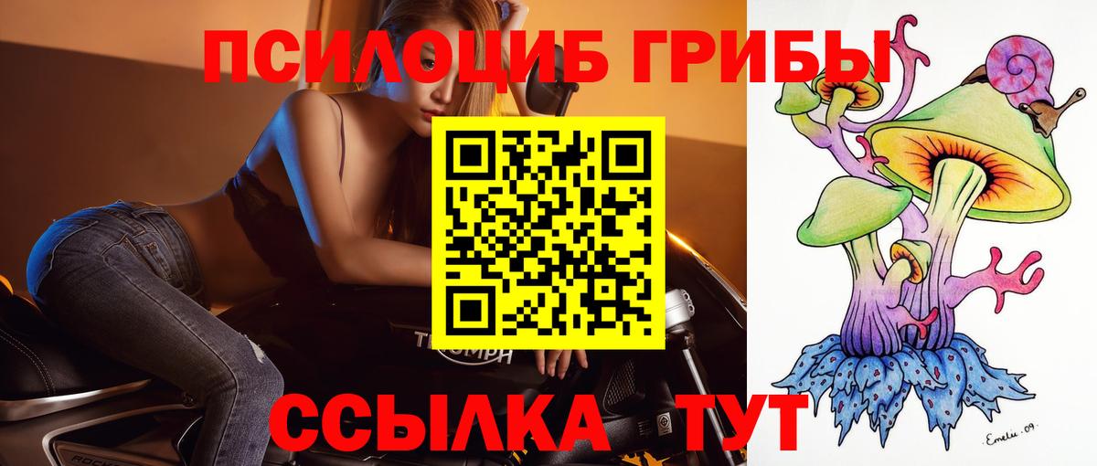 Псилоцибиновые грибы MAGIC MUSHROOMS  Вход с VPN  Бузулук 
